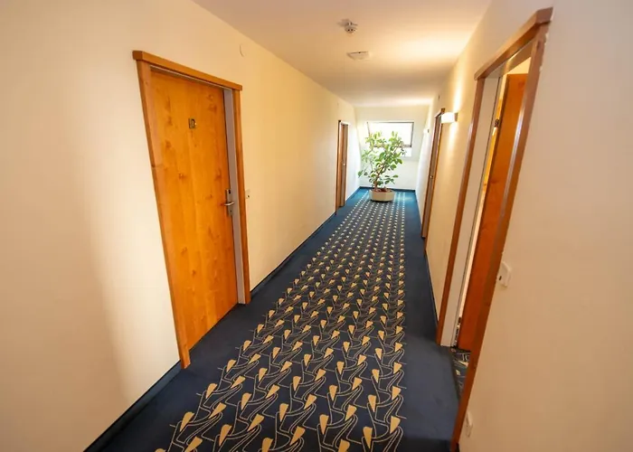 Hotel Rokohof