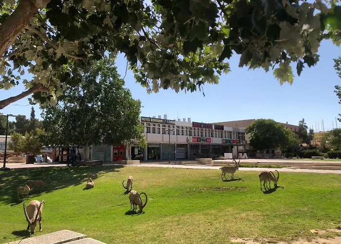 Tzukim Boutique - Desert Traveler's Hotel in Mitzpe Ramon - מלון בוטיק צוקים