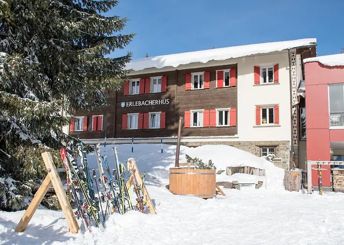 Erlebacherhus