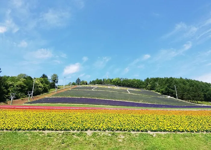 Hotel Hanafuji Inn