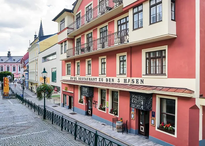 Hotel Drei Hasen