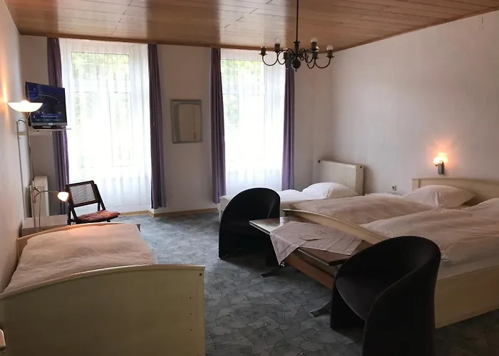 Rheinhotel Starkenburger Hof