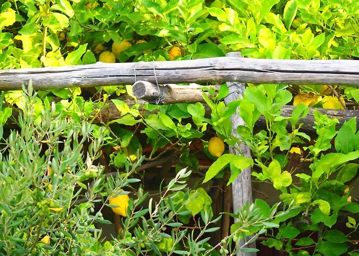 Giardino Sul Mare