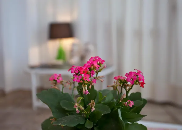 Galaxia Boutique Hotel