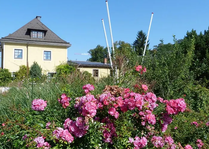 Cityhostel Wieselburg