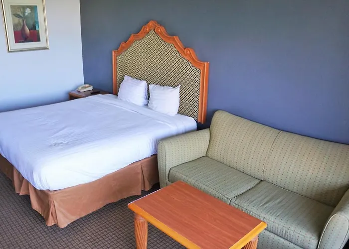 Hotel Elev8
