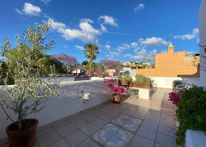 Casa Arbol Hotel