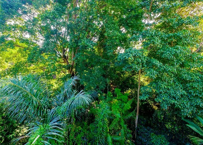 Bali Ubud Harmony