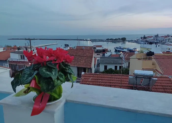 Zorbas Hotel