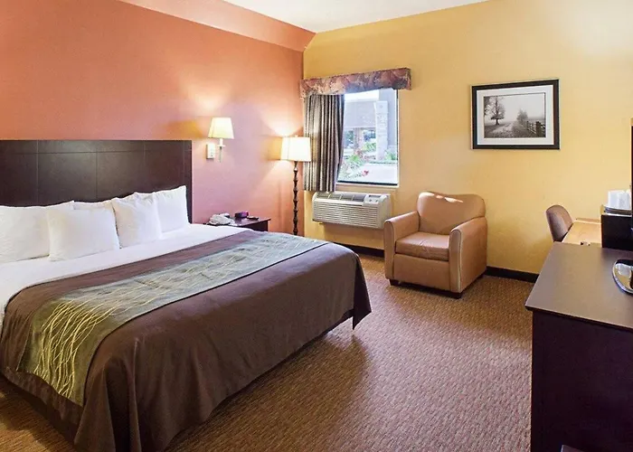 Shary Inn And Suites