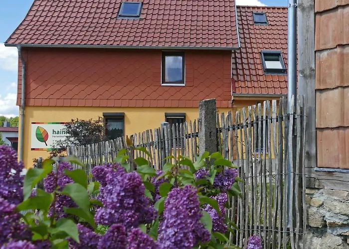 Hainich-Zeit