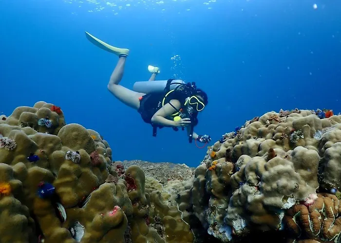 The Dearly Koh Tao Hostel-Padi 5 Star Dive Resort