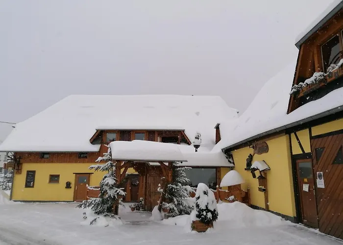 Hotels in Lengenfeld (Saxony)