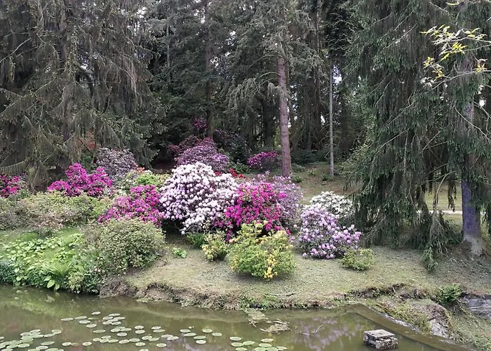 Hotel Tulipan Pruhonice