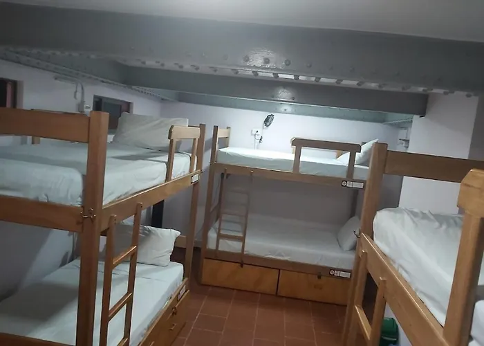 Purple Monkey Hostel