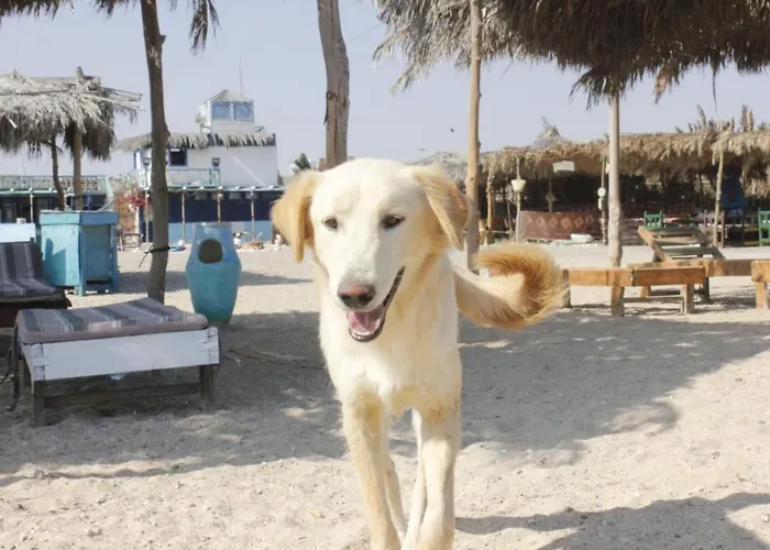 Hotels in Marsa Alam