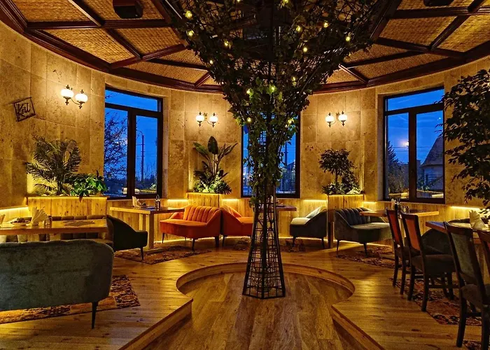 Hotel Coandi