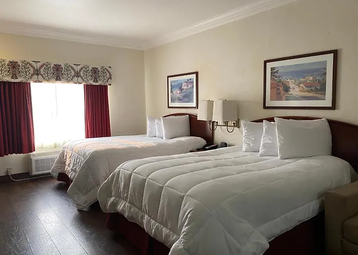 Homestead Lodge Apart Hotel