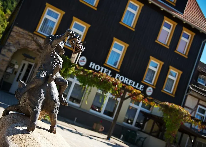 GreenLine Ferienhotel Forelle