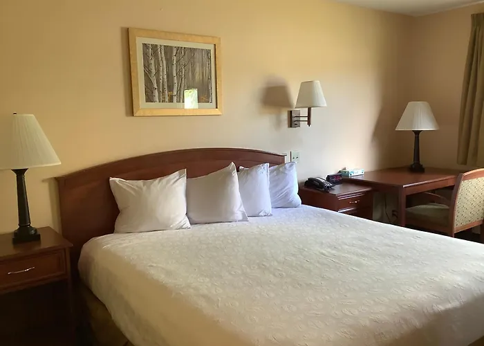 Luxury Inn & Suites