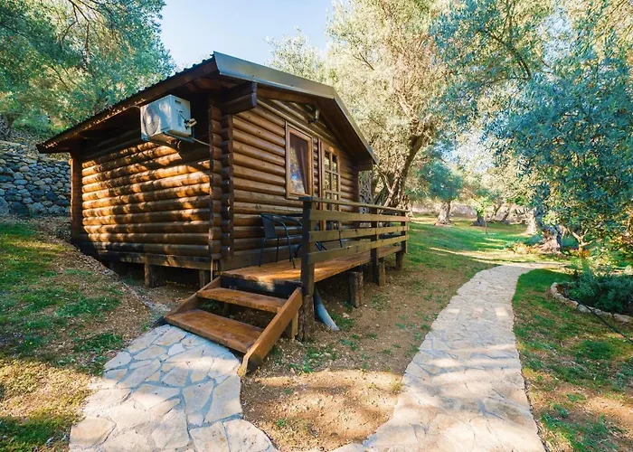 Holiday Park Olive Tree