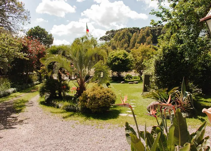Canela Hostel