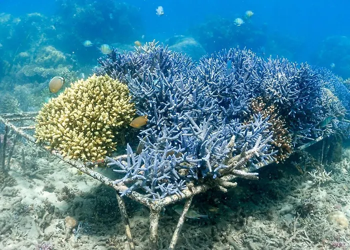 Hotels in Gili Gede