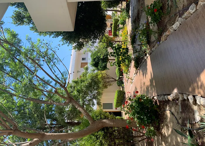 Anavadia Hotel By Anayia All Inclusive Resorts