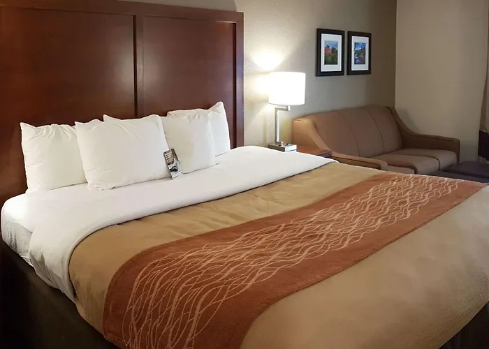 Comfort Inn I-10 West At 51St Ave