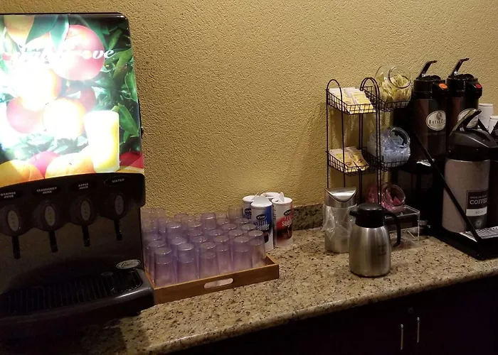 Ramada By Wyndham Houston Intercontinental Airport East