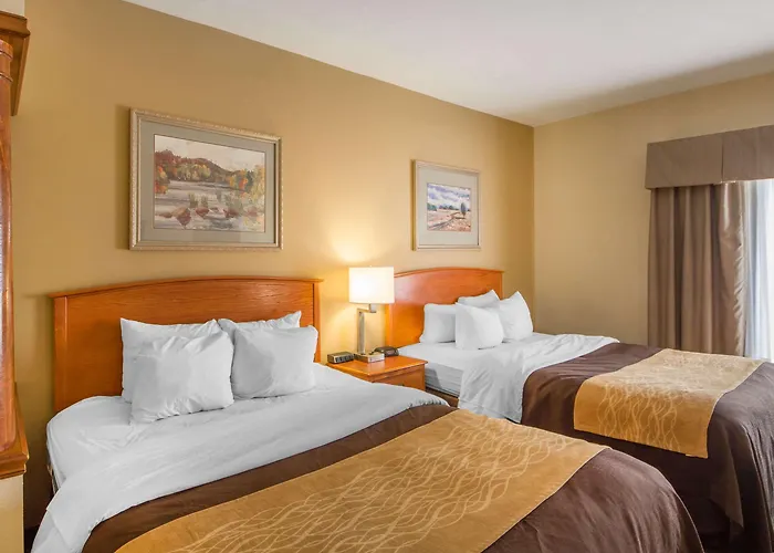 Quality Inn & Suites Midamerica Industrial Park Area