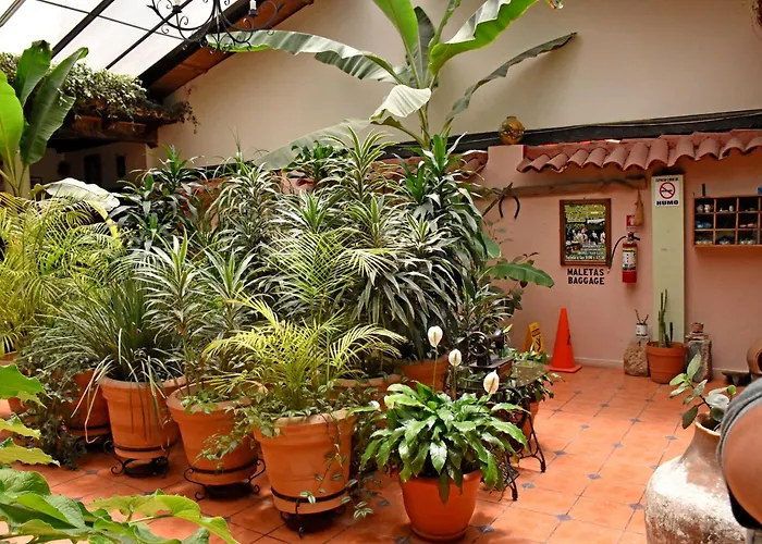 Hotel San Luis