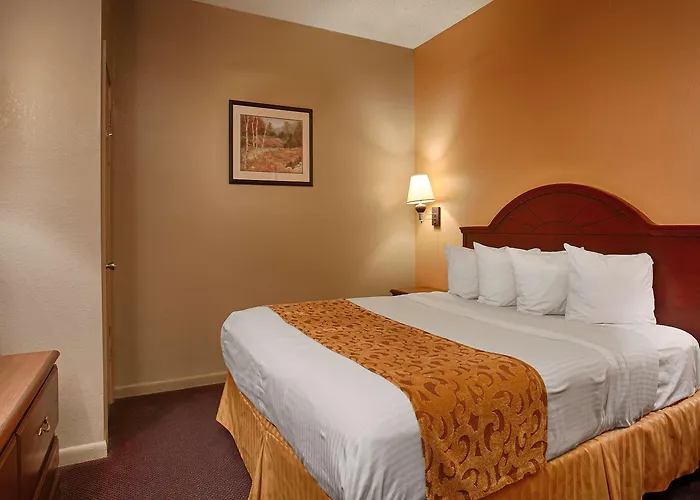 Best Western Delhi Inn