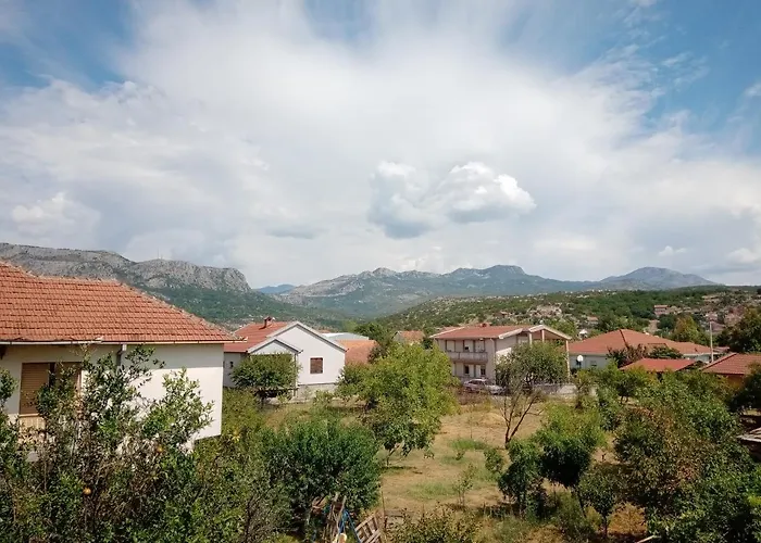 Hostel Olea