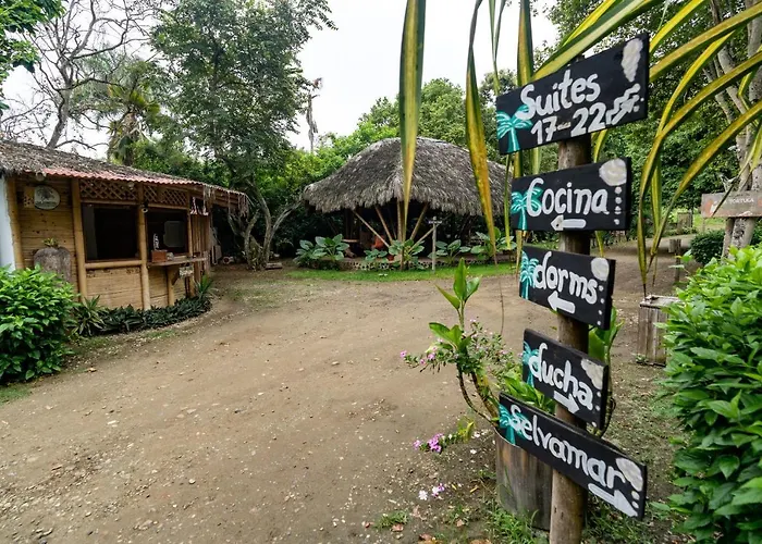 Suites La Tortuga