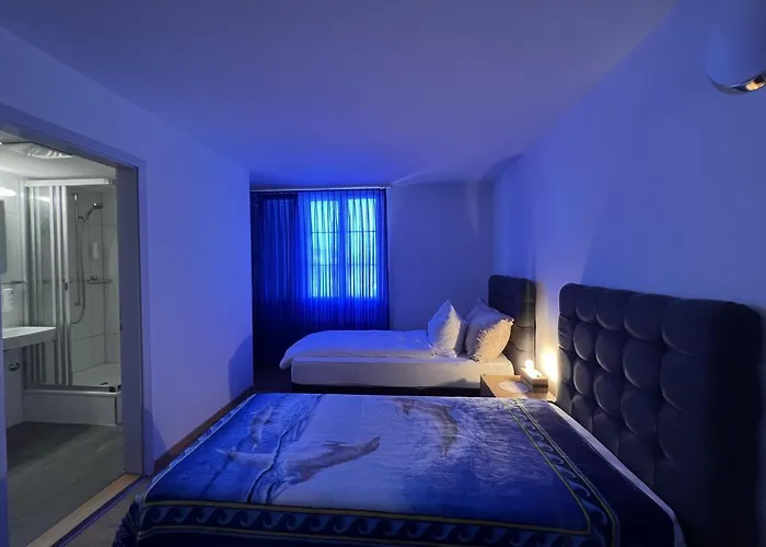 Hotel Hirschen Hinwil