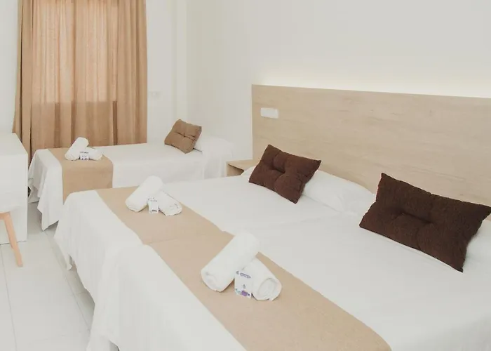 Hotel Olive