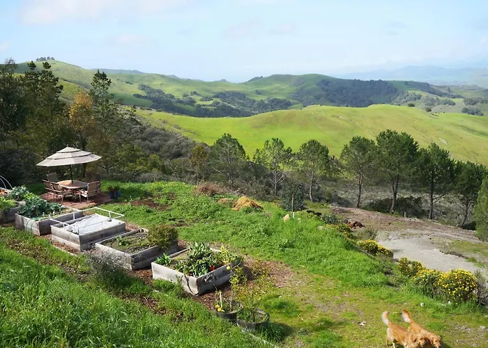 Mountain Top Getaway, Best View In Slo! - Whole House