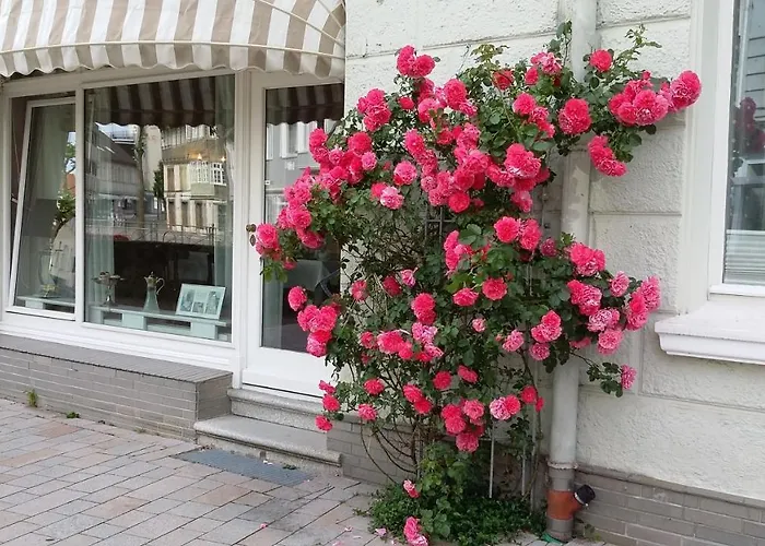 Hotels in Bad Salzuflen