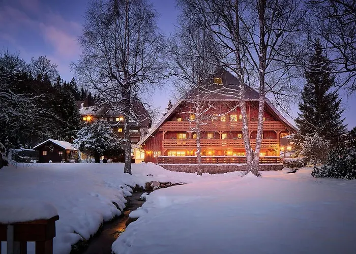 Hotels in Schluchsee