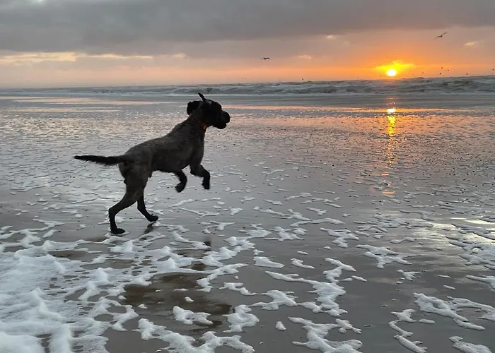 ZeeBedStay