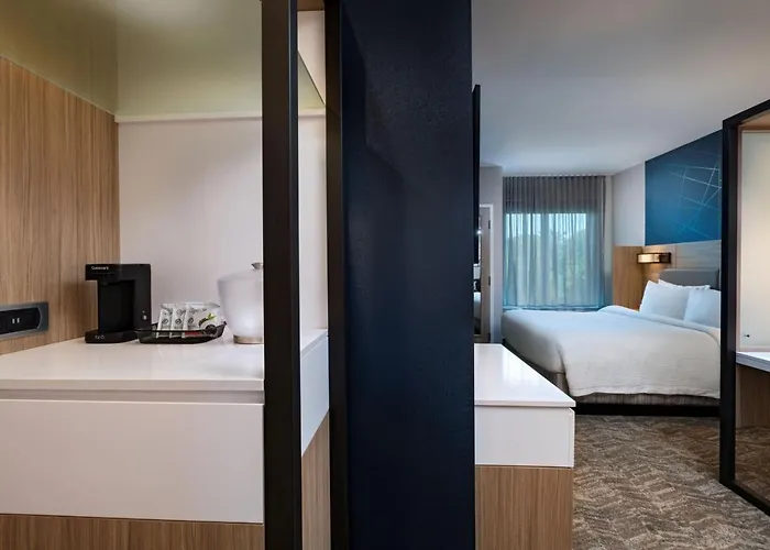 Springhill Suites By Marriott Austin North