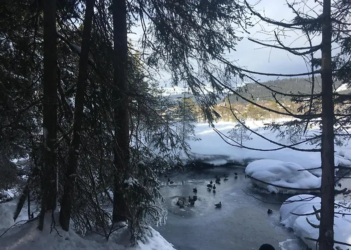 Lakeside Apartments Seefeld