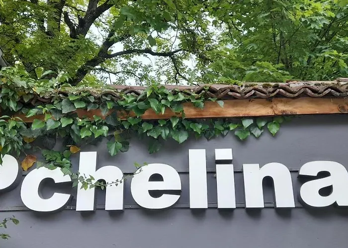Family Hotel Pchelina