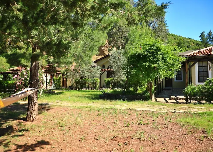 Eski Yeni Tatil Evi Olympos