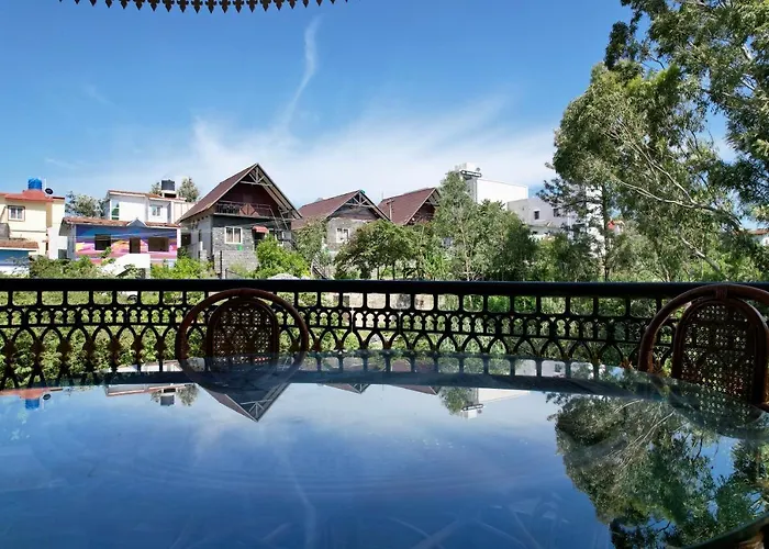 Forest View Resort
