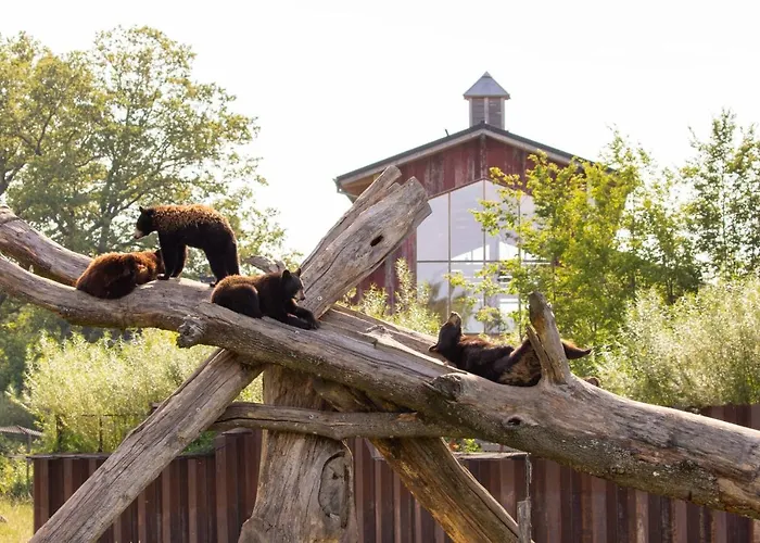 Parc Animalier De Sainte-Croix