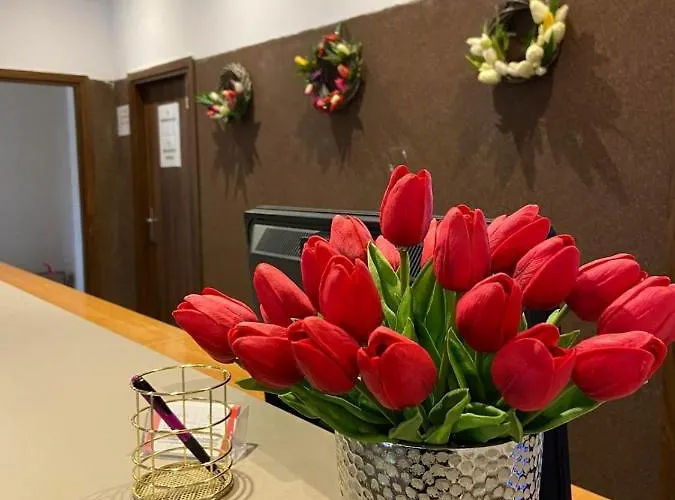 Osrodek Tulipan