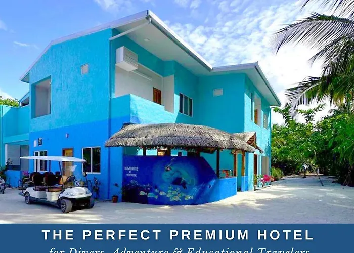 Island Luxury Dive Hotel - Fulhadhoo