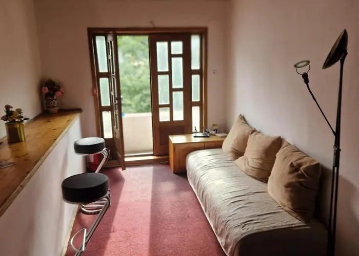 Flava Hostel
